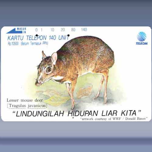 Lesser Mouse Deer